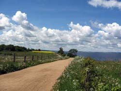 Steilküste bei Niendorf